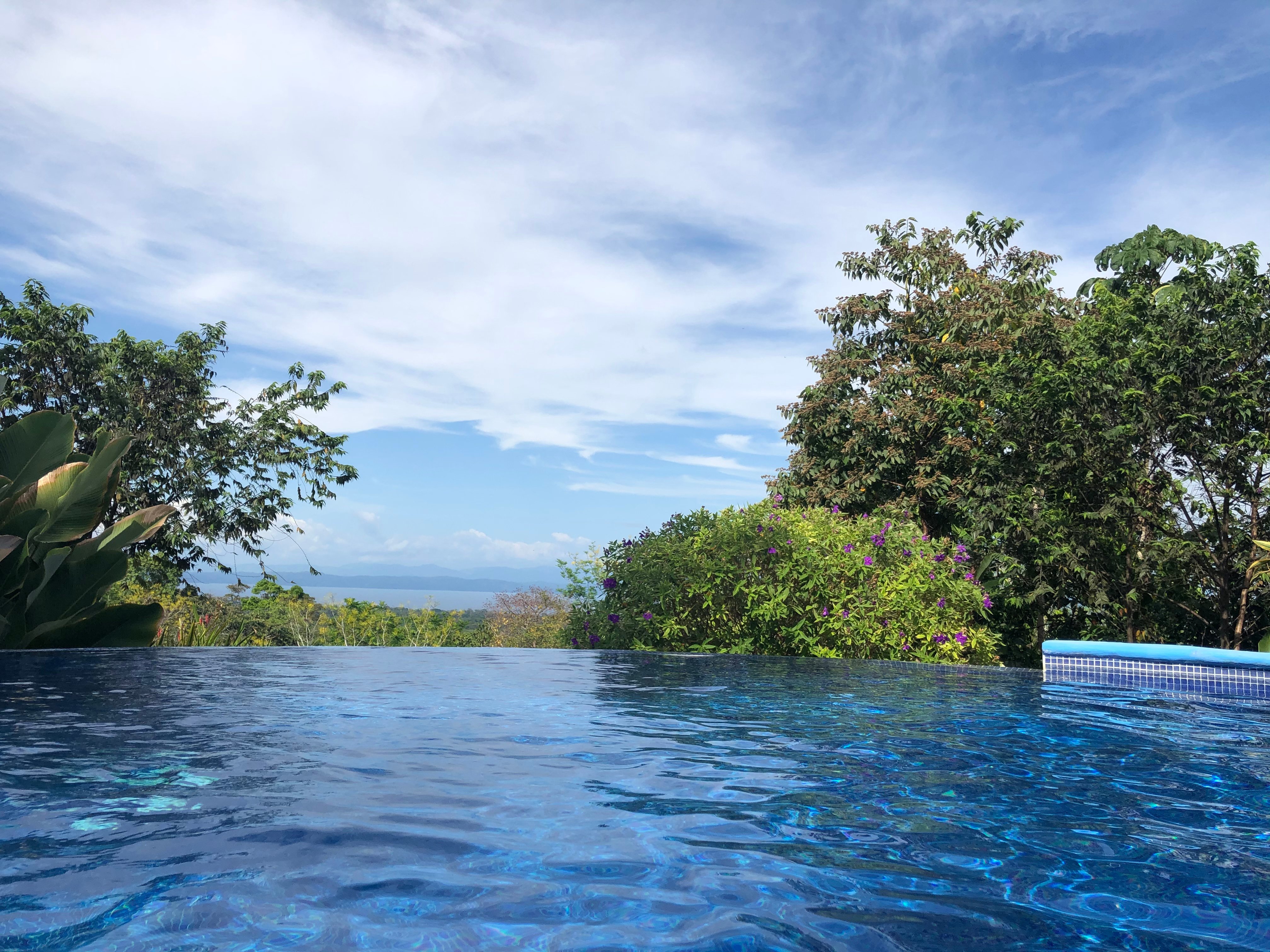 Avatar Eco Lodge-官方