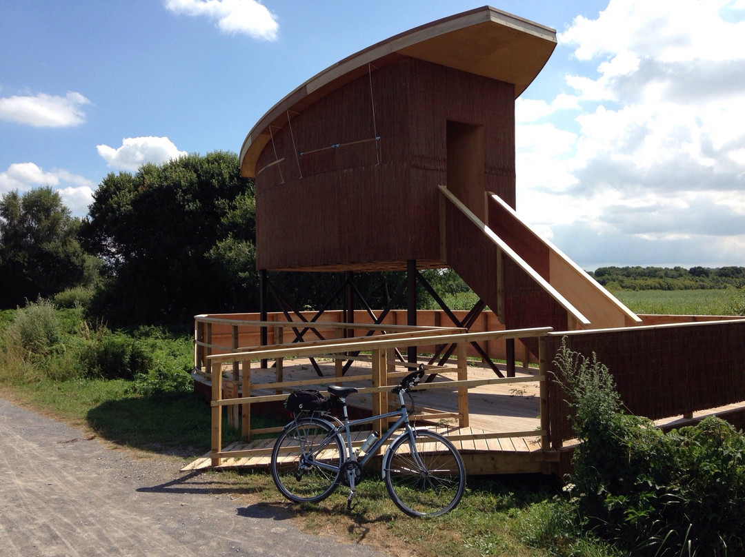 Avalon Marshes Centre景点图片