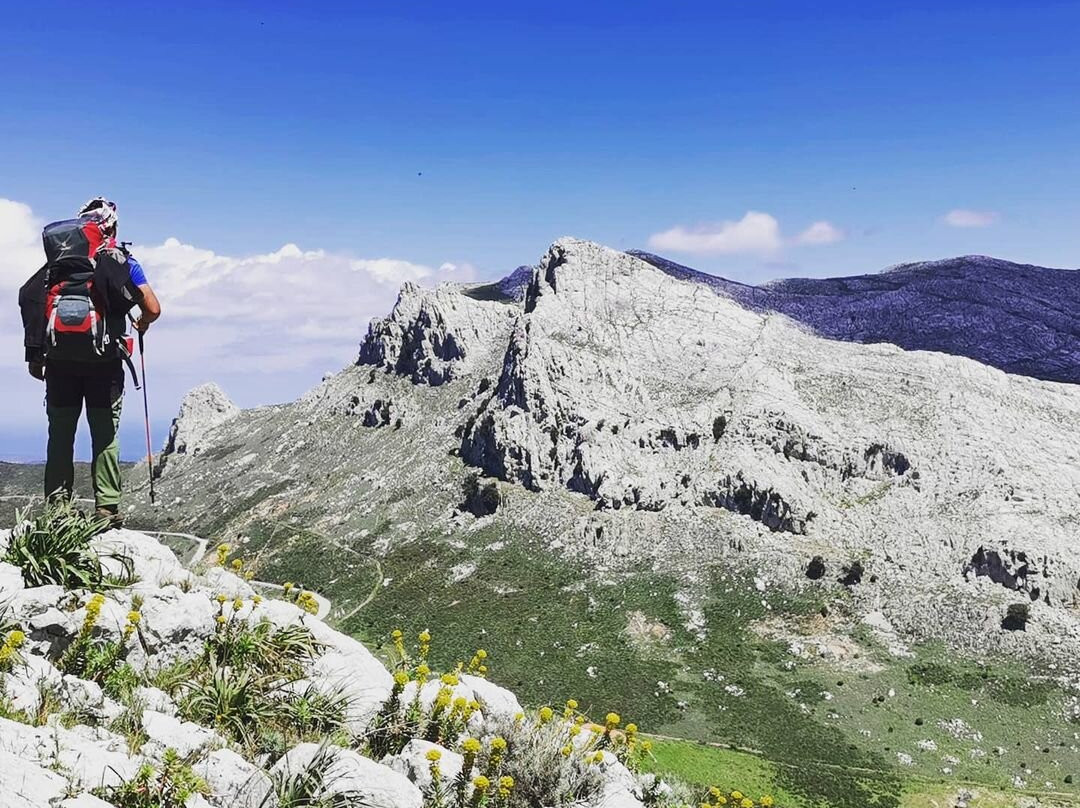 Montalbo