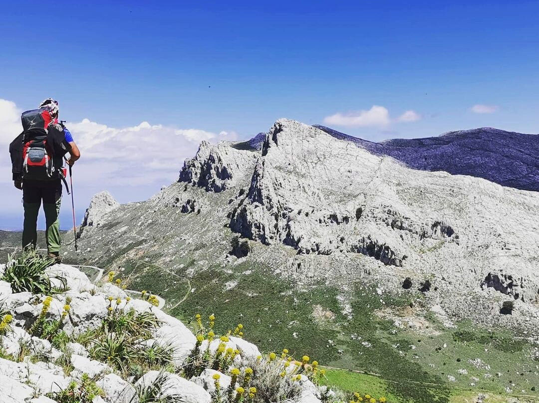 Montalbo景点图片