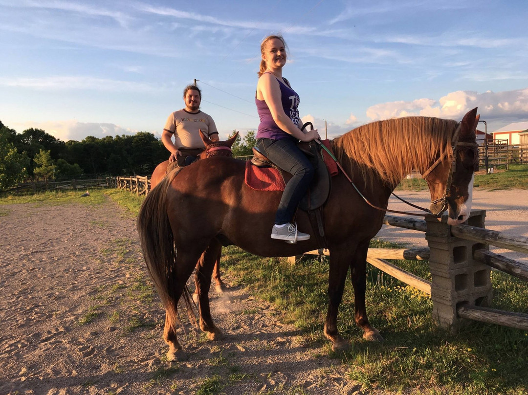 Equestrian Ridge Farm