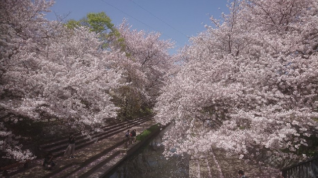 Konosu Fukiage Motoarakawa Hashizukushi-鸿巢市必去景点