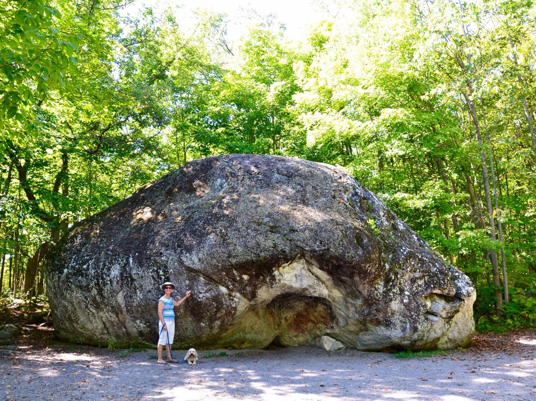 Bleasdell Boulder Conservation Area景点图片