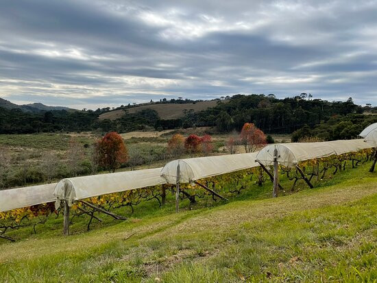 Viveiro Frutopia-Sao Bento do Sapucai必去景点