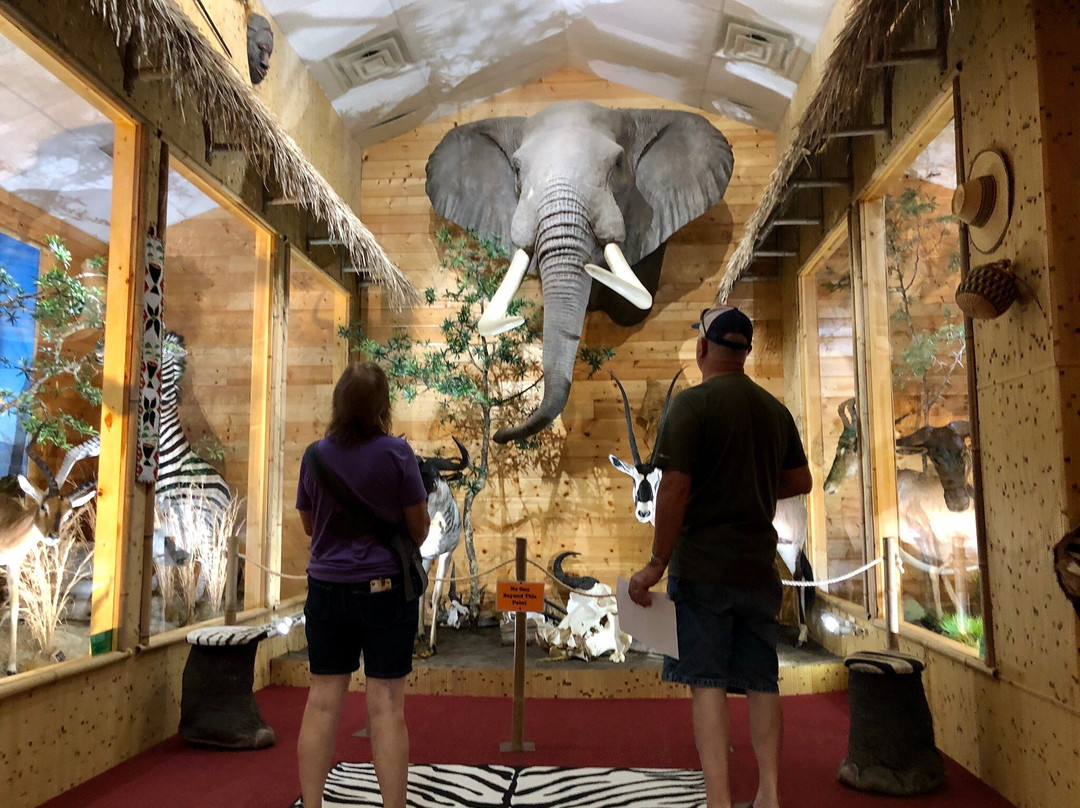 Beavers Bend Wildlife Museum