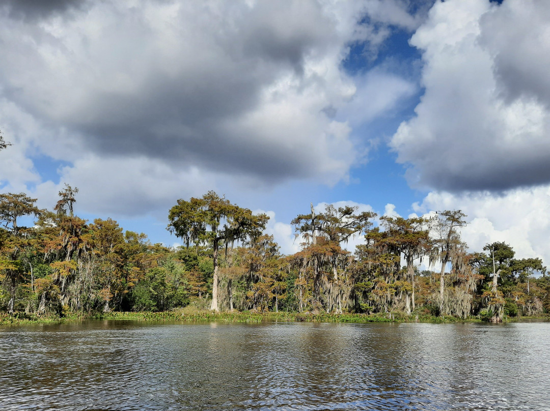 Suwannee River Canoe Rental-Live Oak必去景点