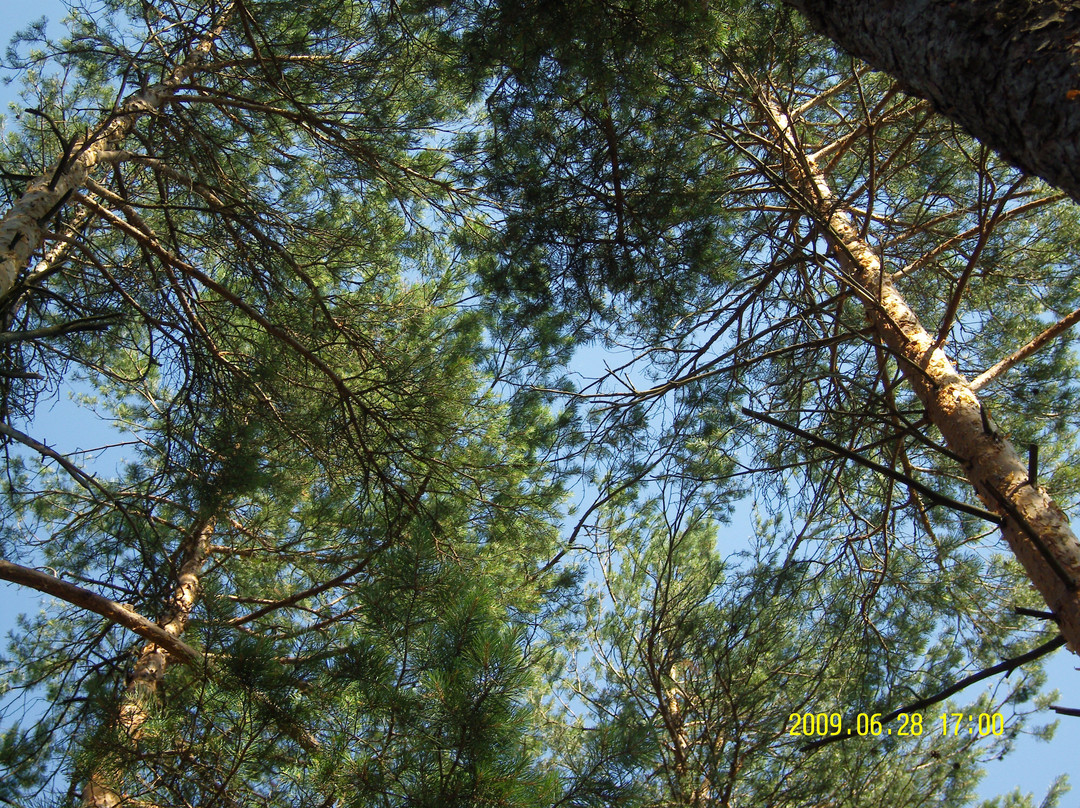 Golubyye Ozera