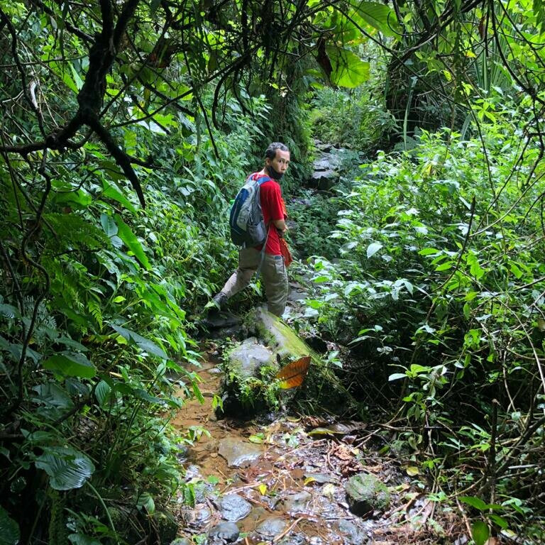 Halimun Salak National Park景点图片