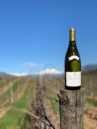 Domaine Comte Peraldi景点图片