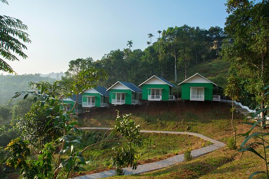The Arbour Resort Munnar-酒店景观