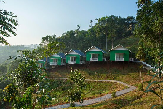 The Arbour Resort Munnar主图