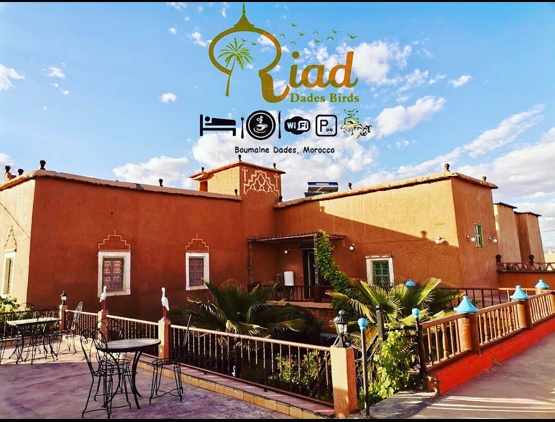 Riad Dades Birds - Lodge & Birding Tours-浴室