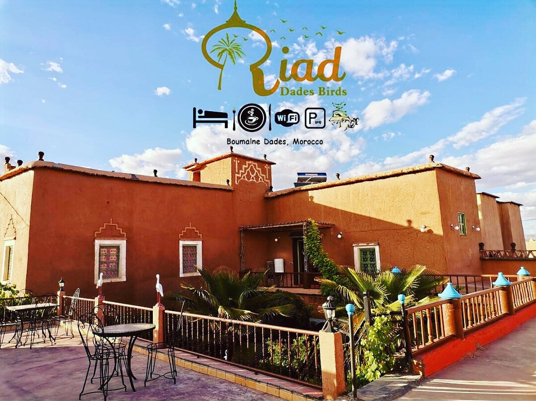 Riad Dades Birds - Lodge & Birding主图