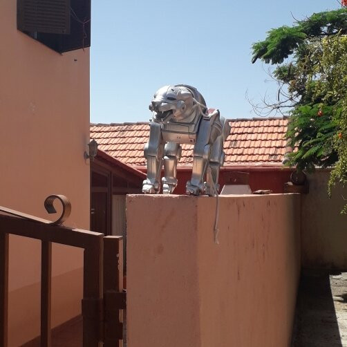 Casa Museo del Vino Las Manchas-Los Llanos de Aridane必去景点