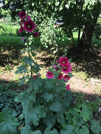 Resurrection Cathedral-Kashin必去景点