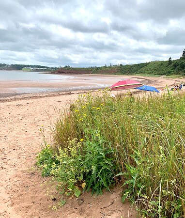 North Shore SUP-River John必去景点