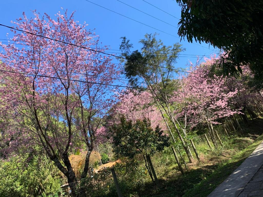 Rancho da Ferradura主图