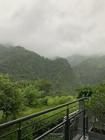 Taj Rishikesh Resort & Spa主图