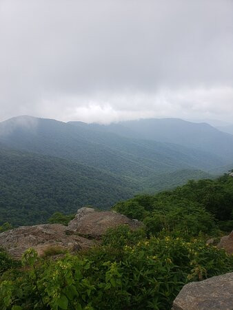 Craggy Gardens景点图片