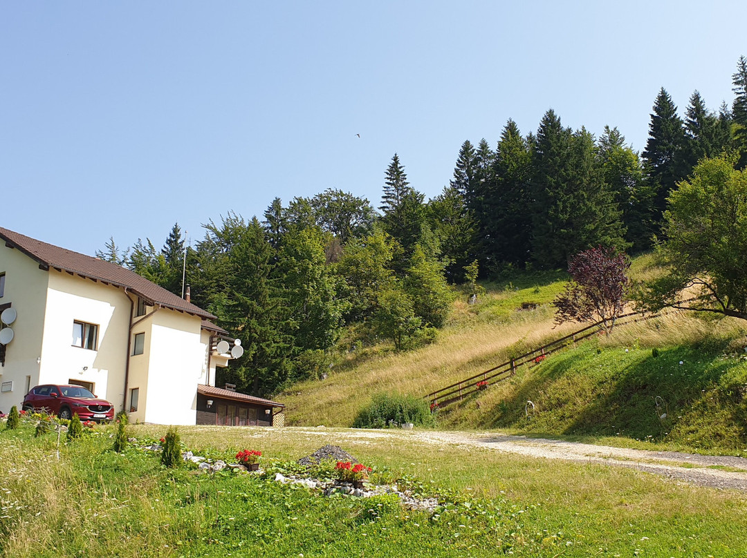 Pensiunea Magura