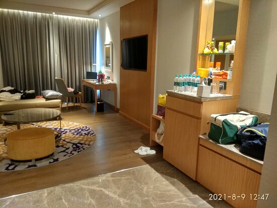 Vivanta Bhubaneswar, DN Square-客卧