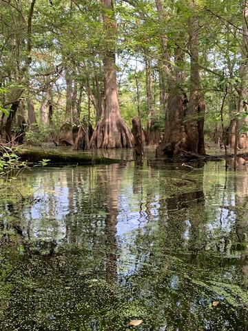 Backwater Expeditions-Rincon必去景点