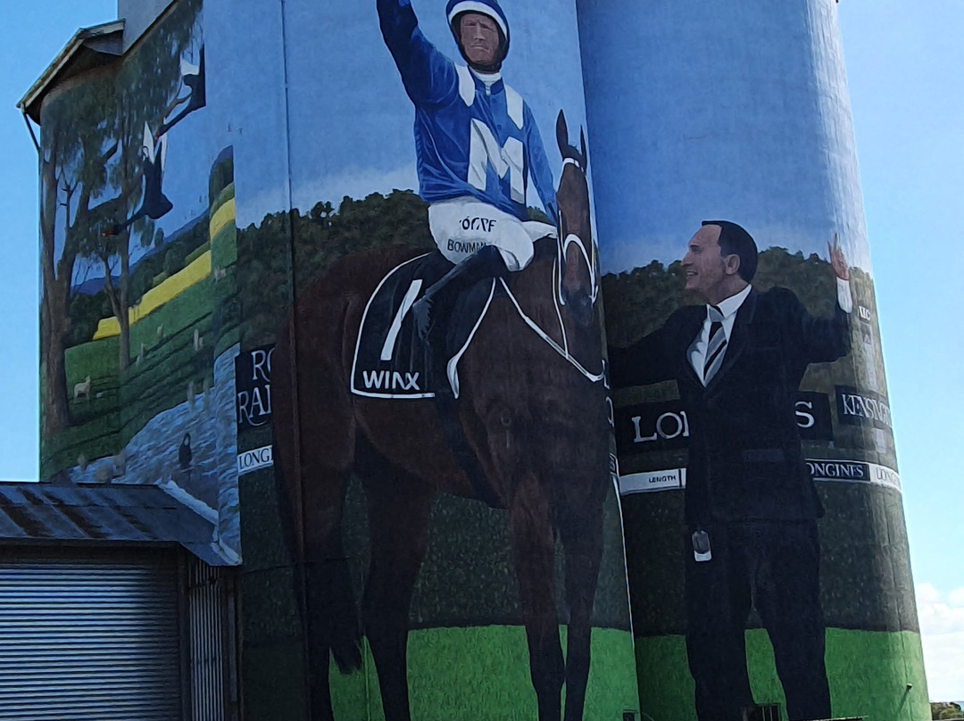 Silo Art Dunedoo-Dunedoo必去景点