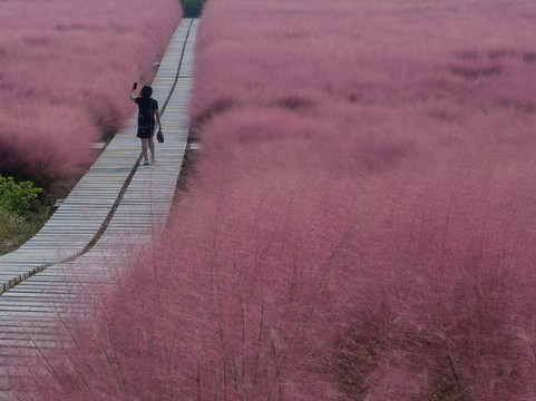 Holiday Inn Express Pinghu by IHG主图