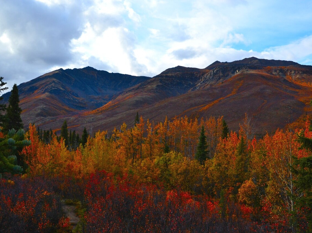 Tombstone Territorial Park-道森市必去景点