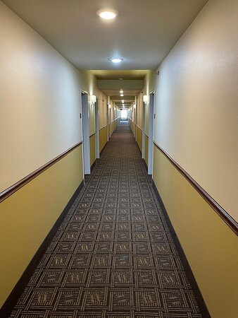 Spark By Hilton Minot主图