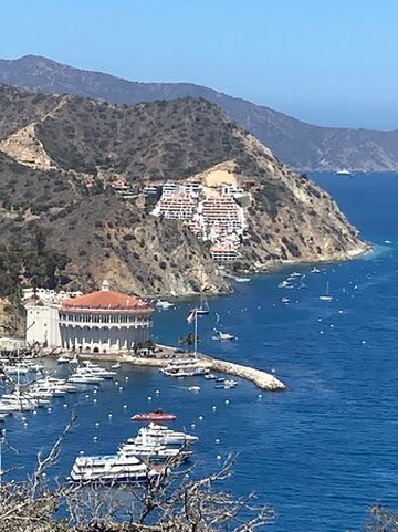 Catalina Flyer-纽波特海滩必去景点