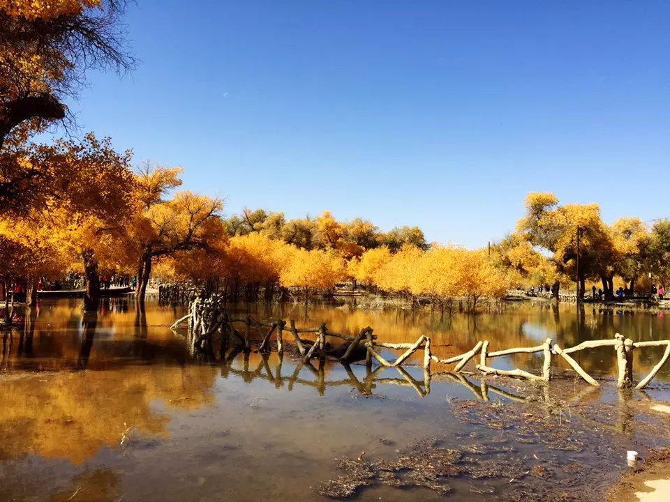 苏尼特右旗社保局旅游点-苏尼特右旗必去景点