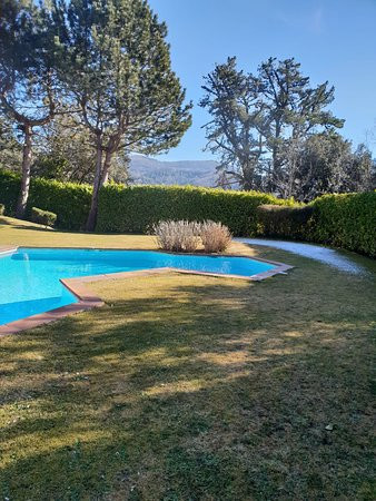 Gran Castanyer主图