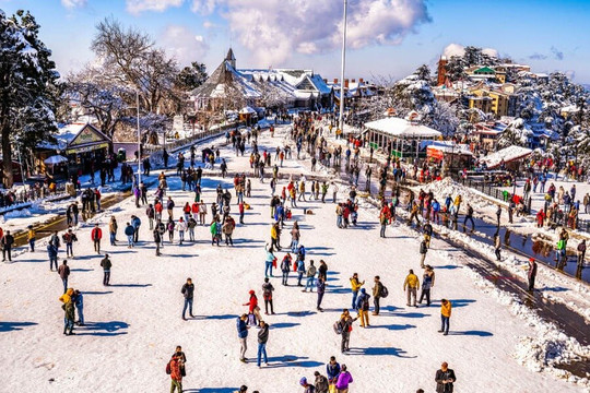 Dream Tour N Travels