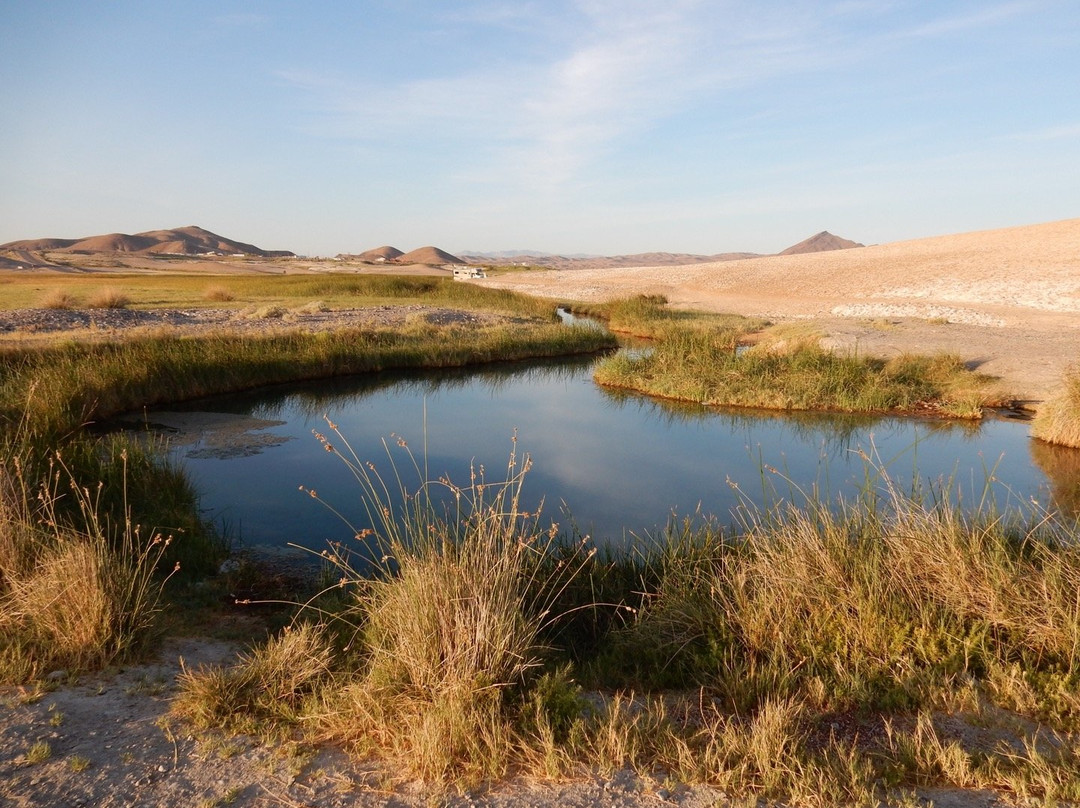 Tecopa Hot Springs景点图片