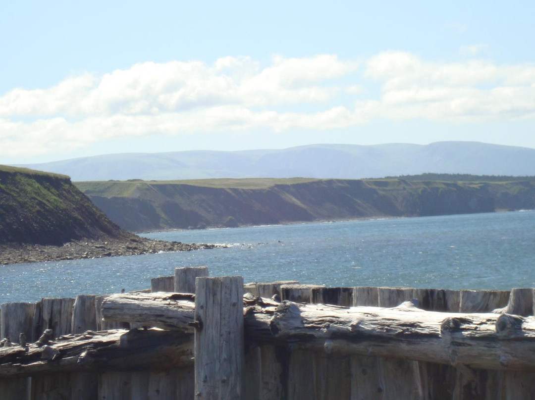 Cape Anguille旅游攻略图片