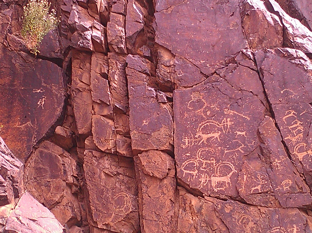 Bayankhongor旅游攻略图片