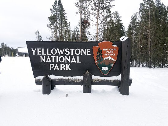 Yellowstone Snowmobiles景点图片