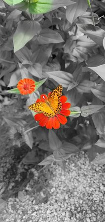 Pousada Capim Dourado Ponte Alta主图