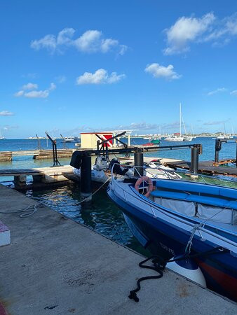 Dive Adventures-辛普森湾必去景点