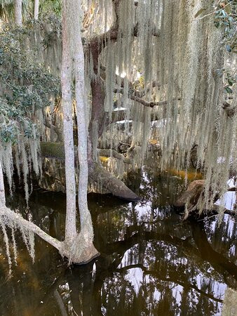 Palm Island Park-Mount Dora必去景点
