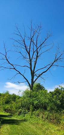 Montezuma National Wildlife Refuge景点图片