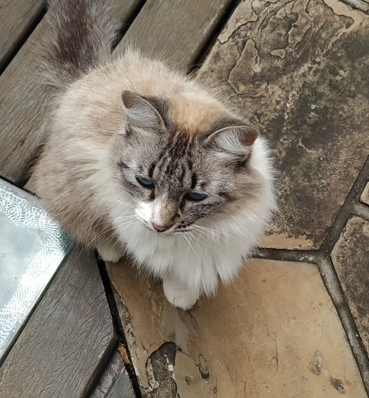 Museu da Energia - Nucleo de Itu-伊图必去景点