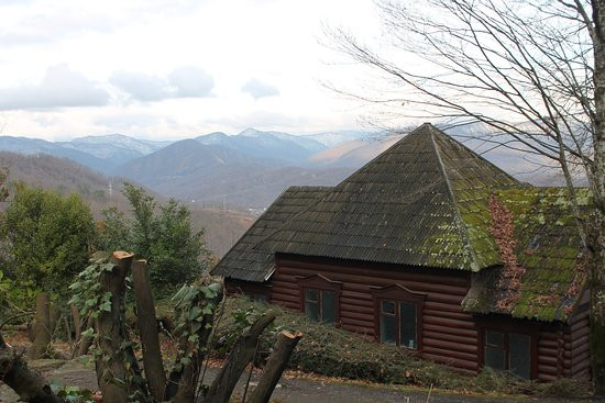 Dagomys Tea Plantation-索契必去景点