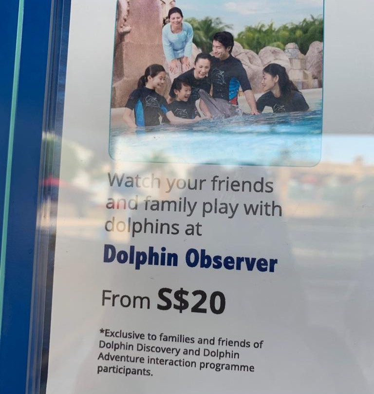 海豚岛-圣淘沙岛必去景点