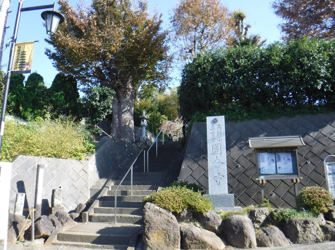 Sagami Kokubun-ji Temple景点图片