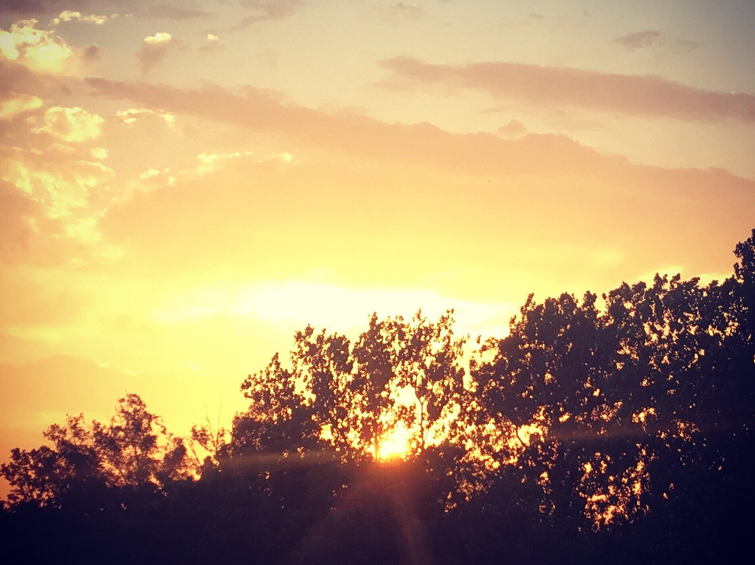 Lee's Summit旅游攻略图片