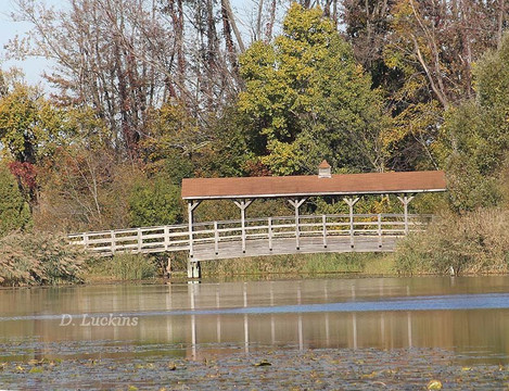 Robert H. Long Nature Park
