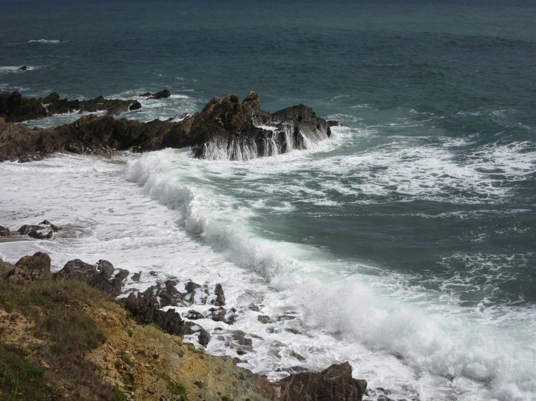 Jard-sur-Mer旅游攻略图片