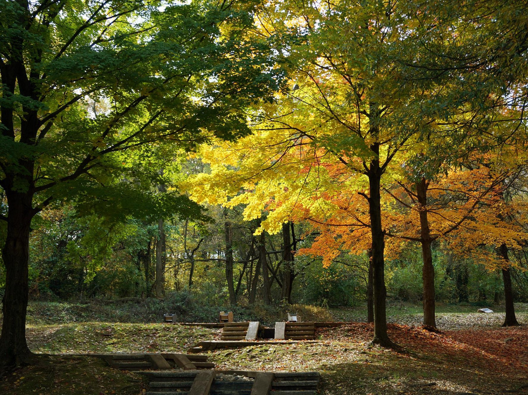 Upton Hill Regional Park景点图片